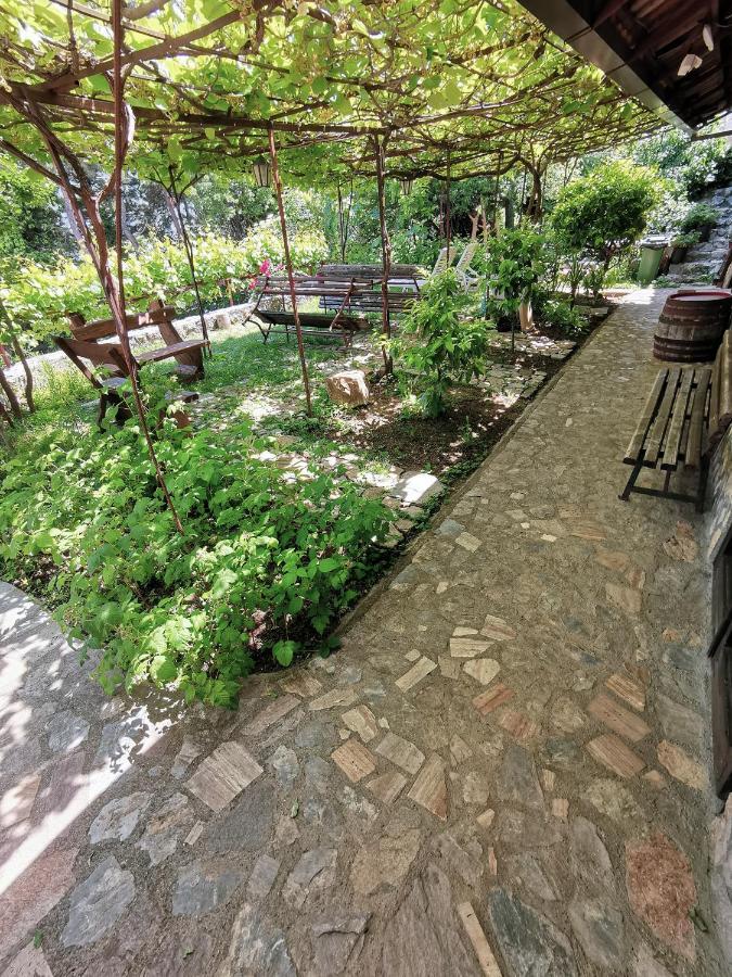 Chardak Apartments オフリド エクステリア 写真
